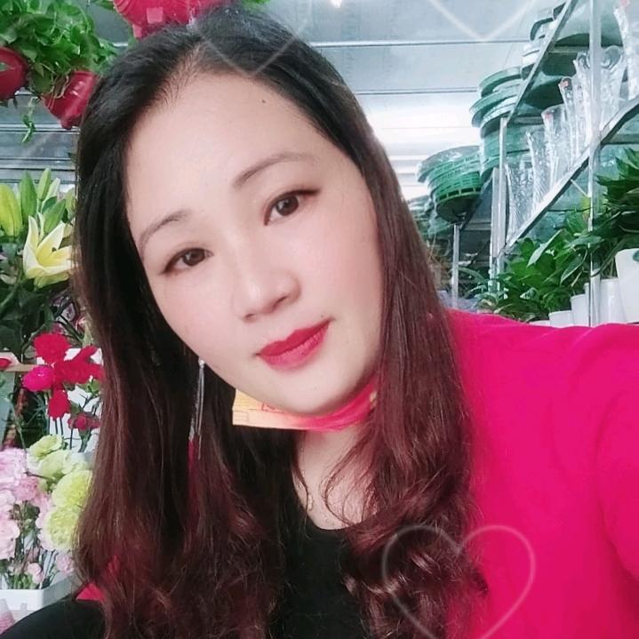 凤舞九天