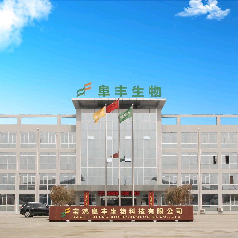 宝鸡阜丰人力