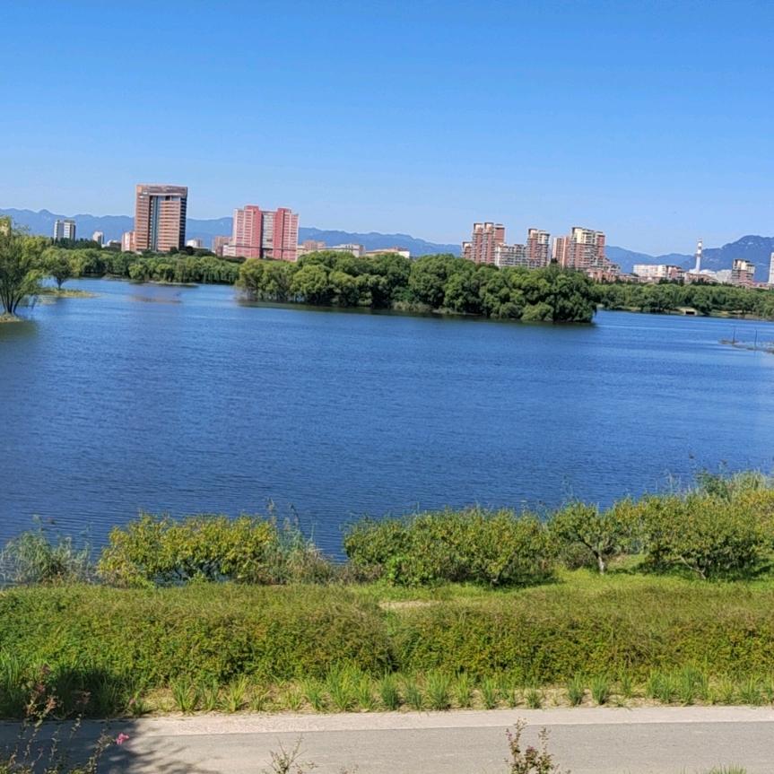 逍遥哥。【5207】