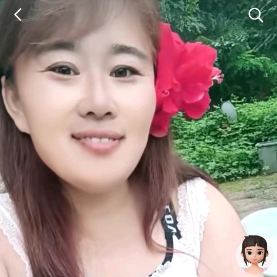 锦鲤小鱼儿