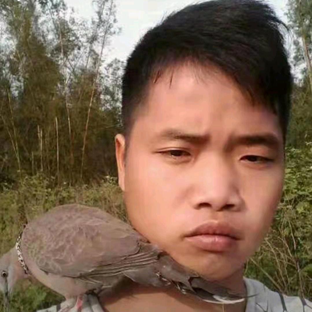 慈善11