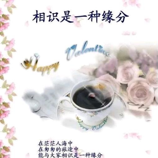 念雪归尘