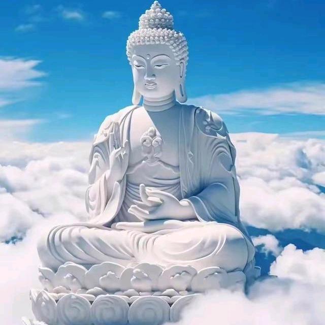 《谁明浪子心》