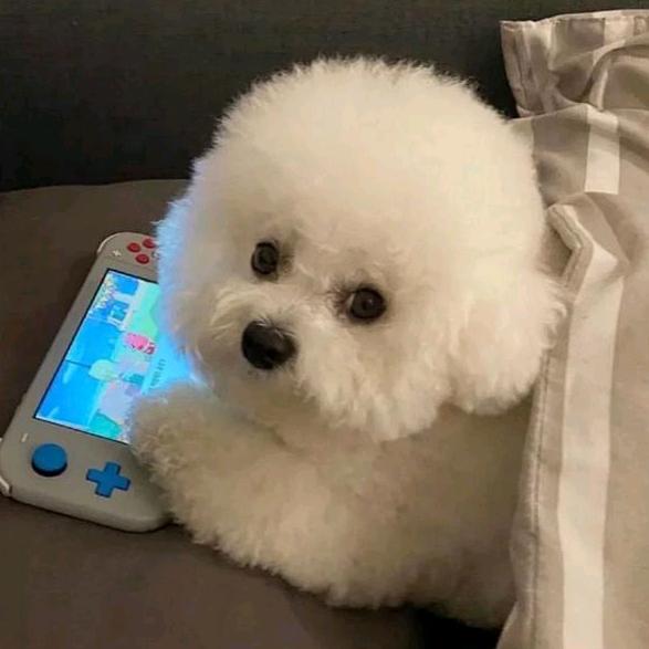 我是农村妹