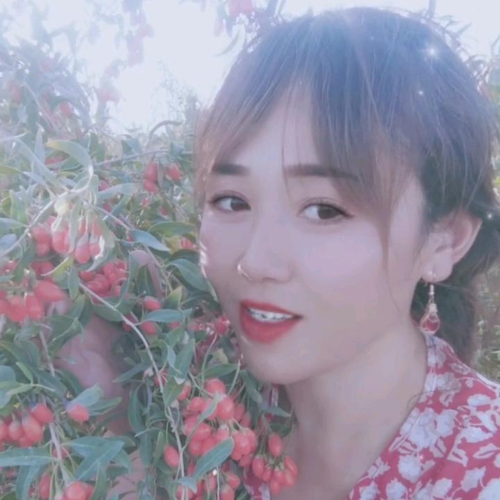 天天开心美一天