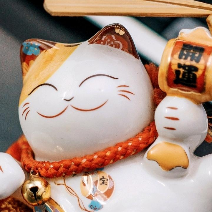 拍蒲城