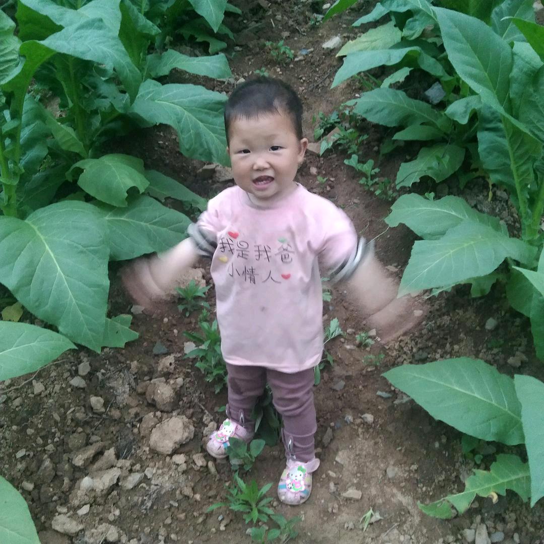 开心一生快乐