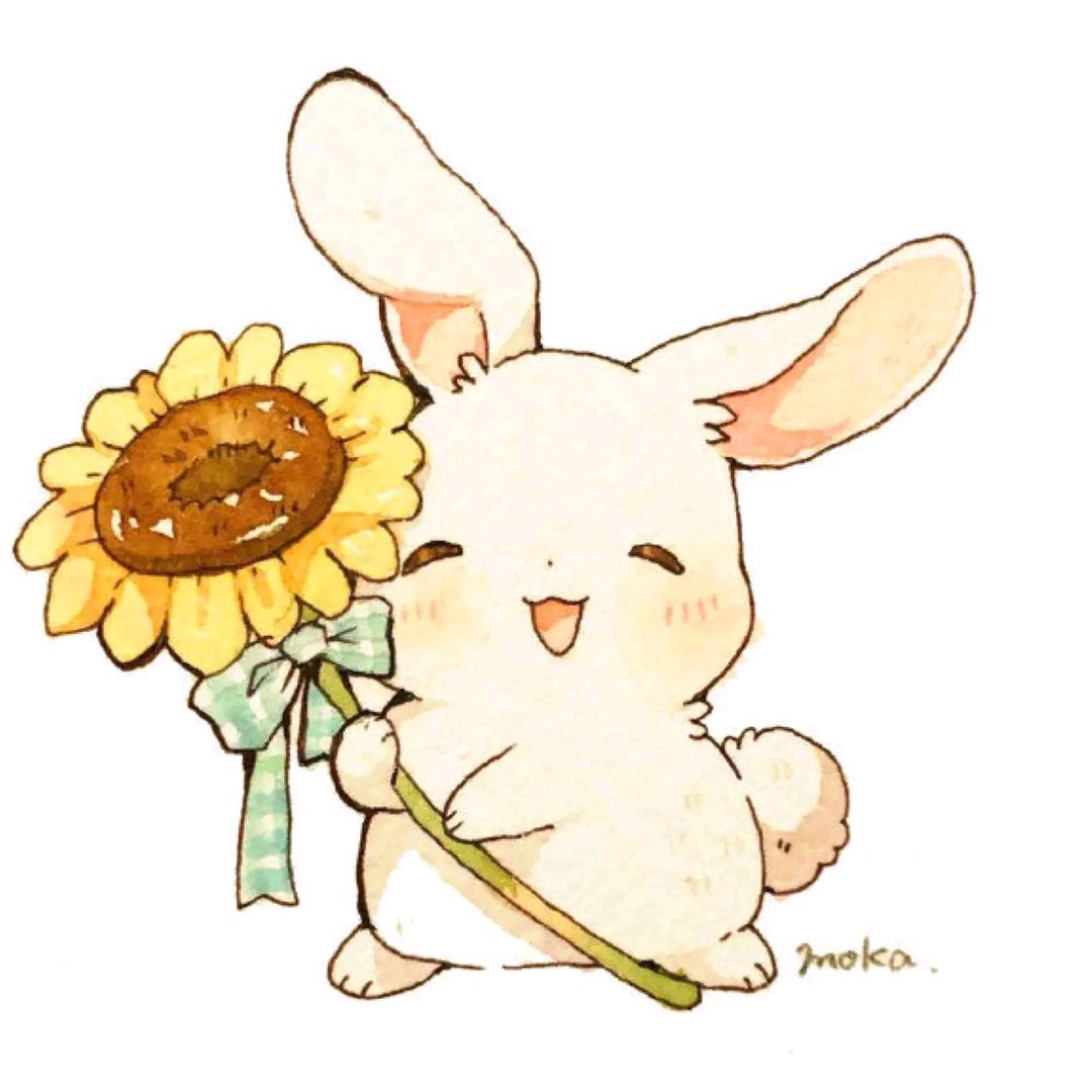 喝鸡汤的兔兔子