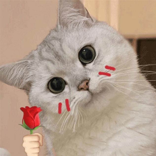 一个单纯的聪明蛋子