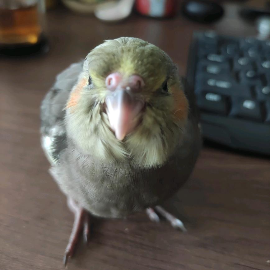 王小孩
