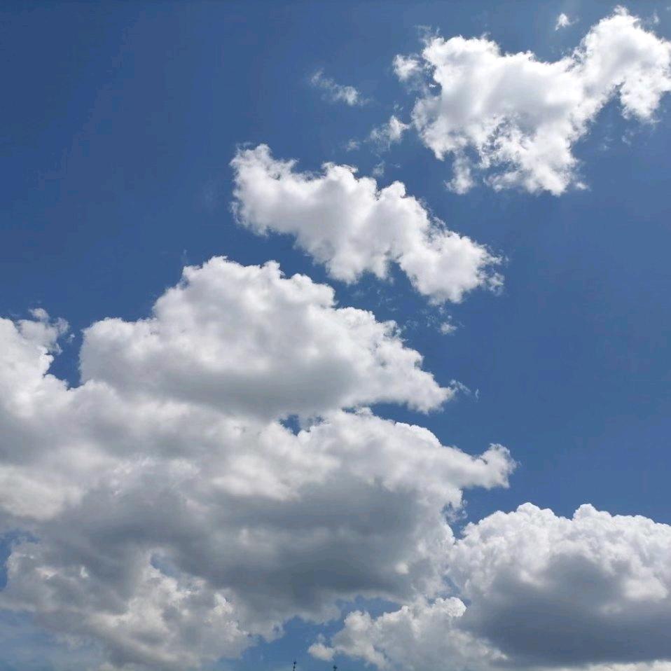 🌟壮志飞昂🌟