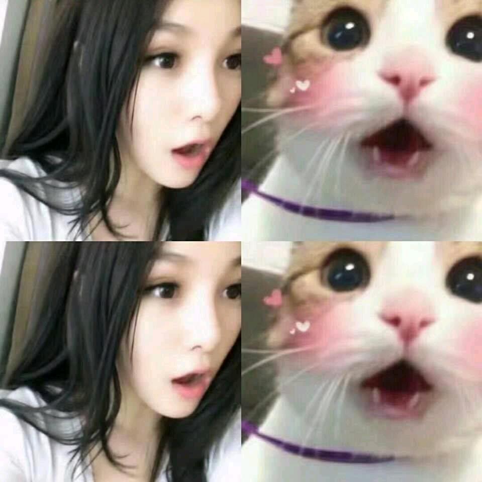 锦鲤呀