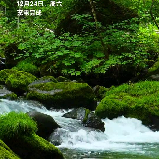 霞霞姐