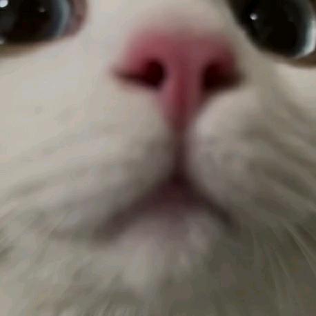 你前夫哥