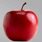 日月同行～巨蟹座