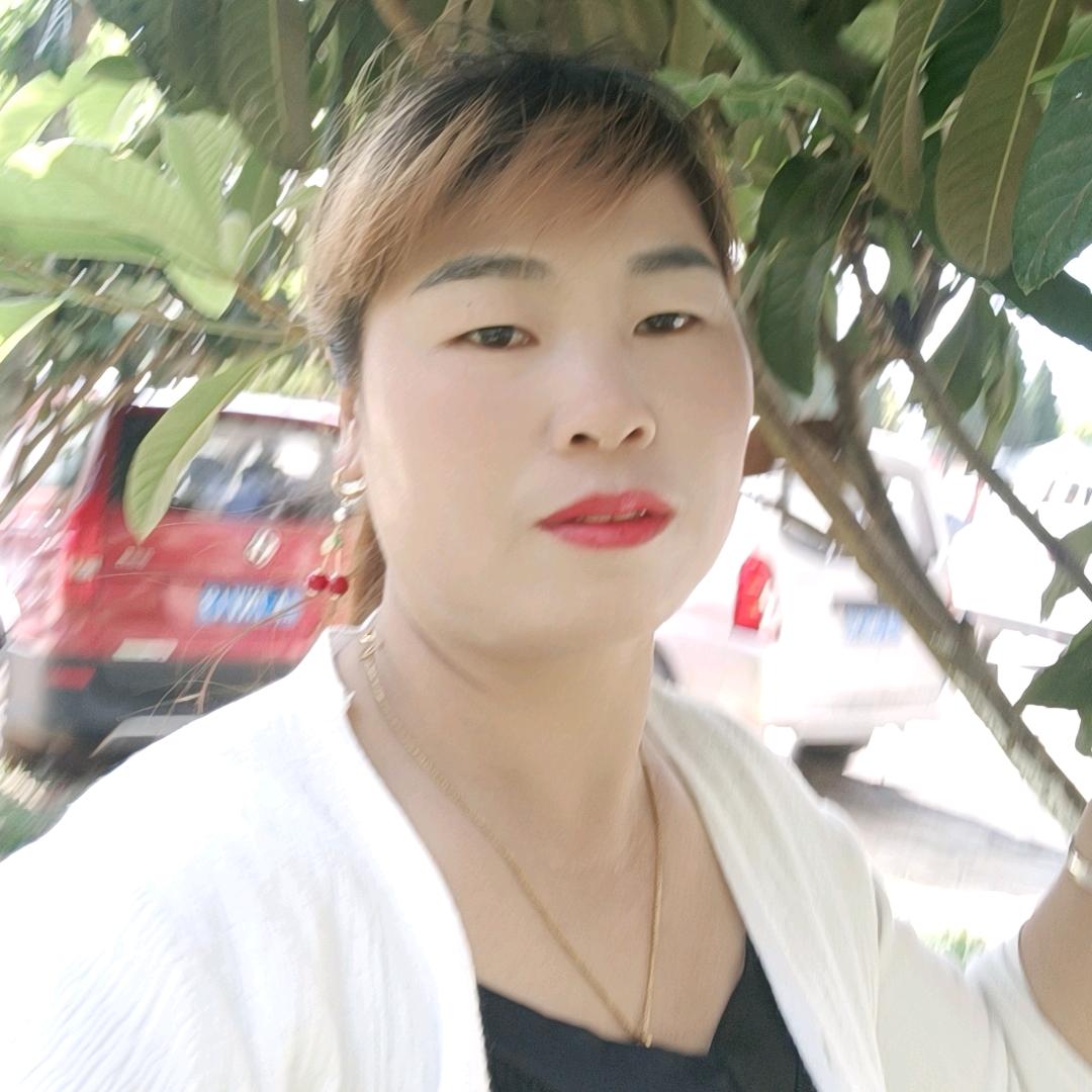 二妹专业驾校