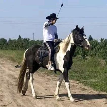 涛哥《喜玥爸爸》