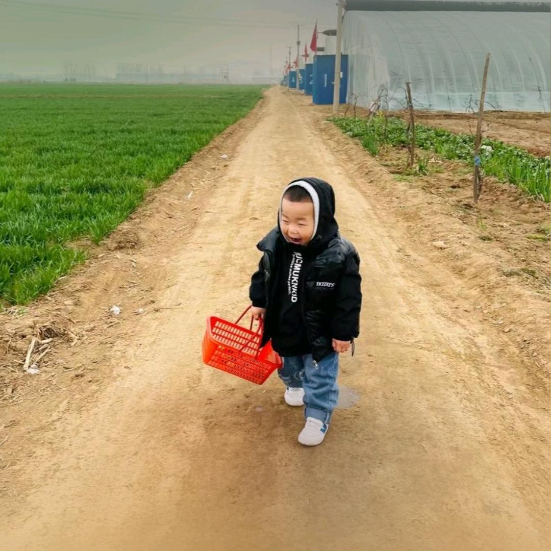 可乐奶奶