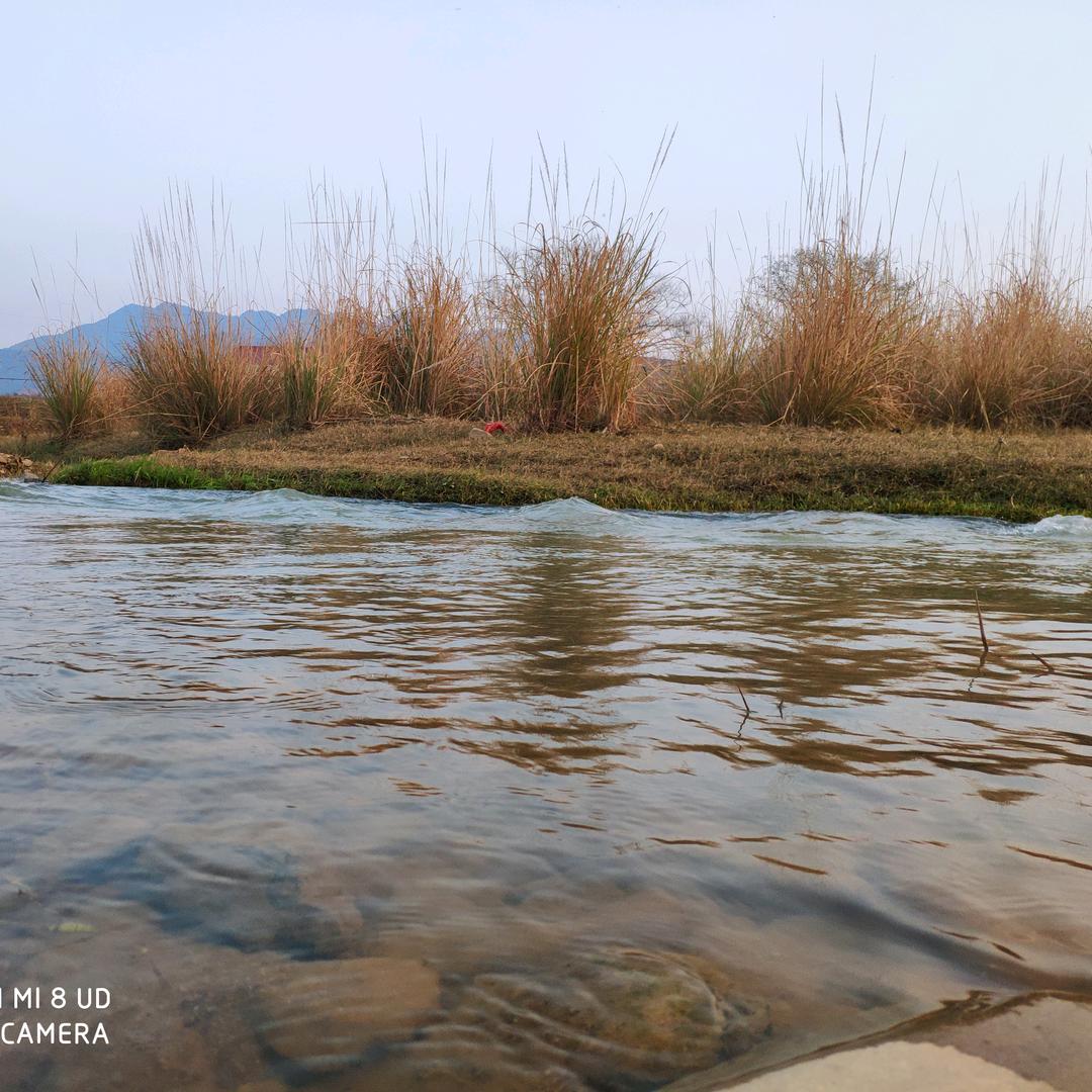 酒醉氹歌