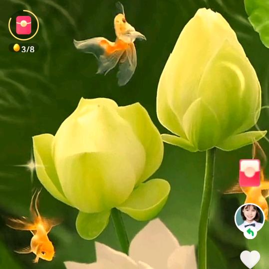 @璀璨阳光