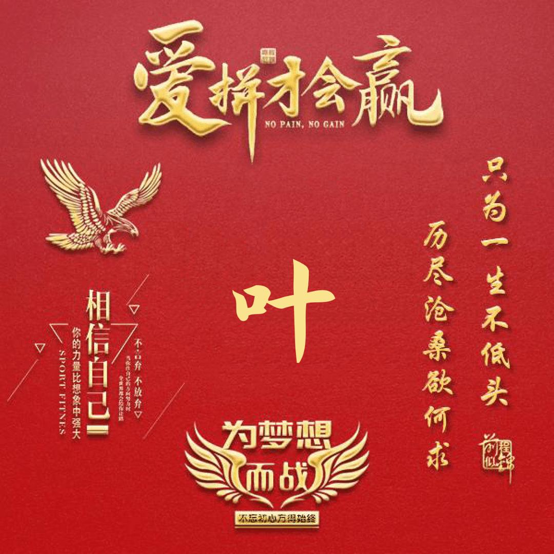 🇨🇳  叶随音动