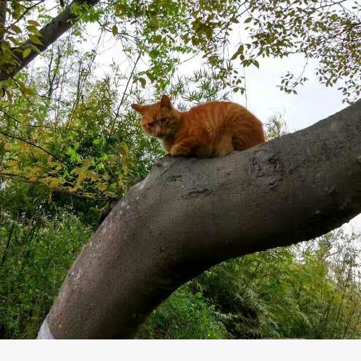 自由自在