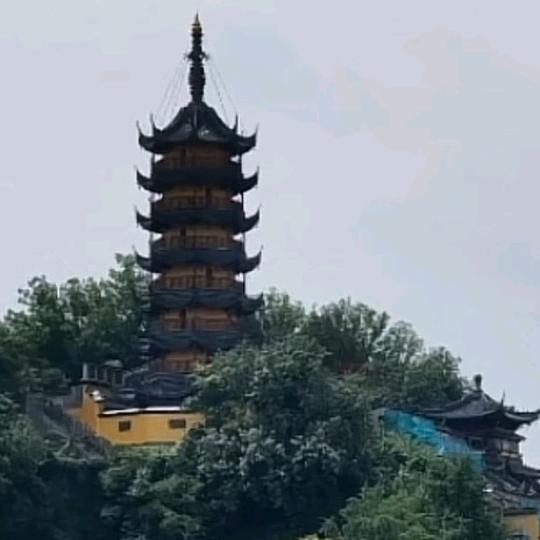 座山雕