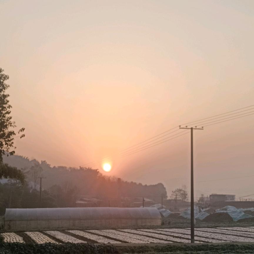 陈平