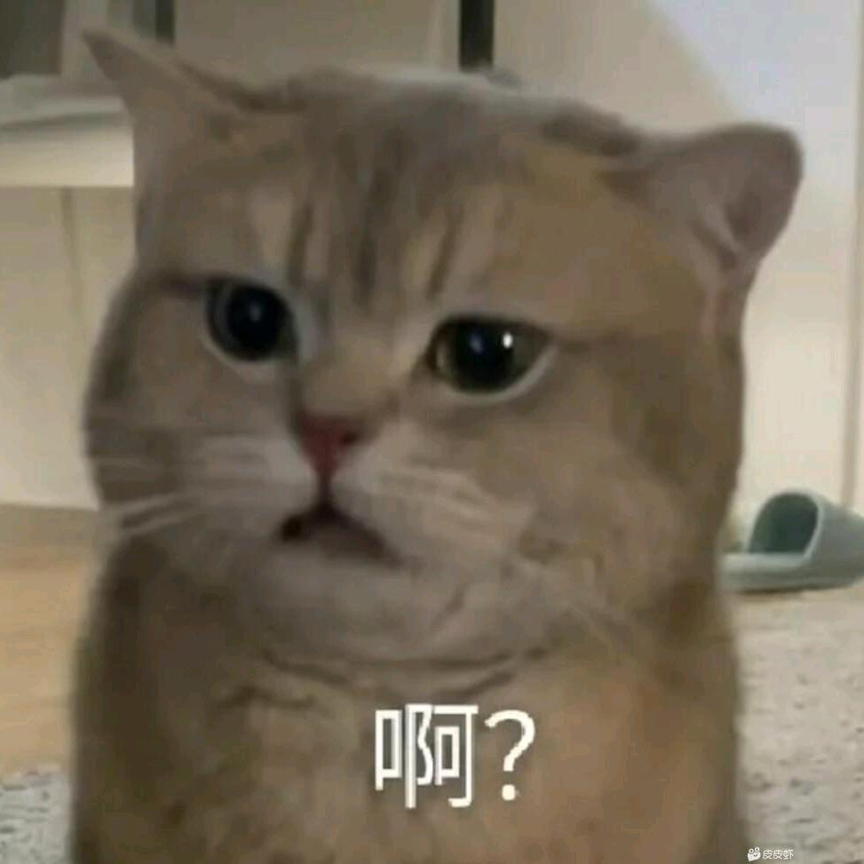 管 家