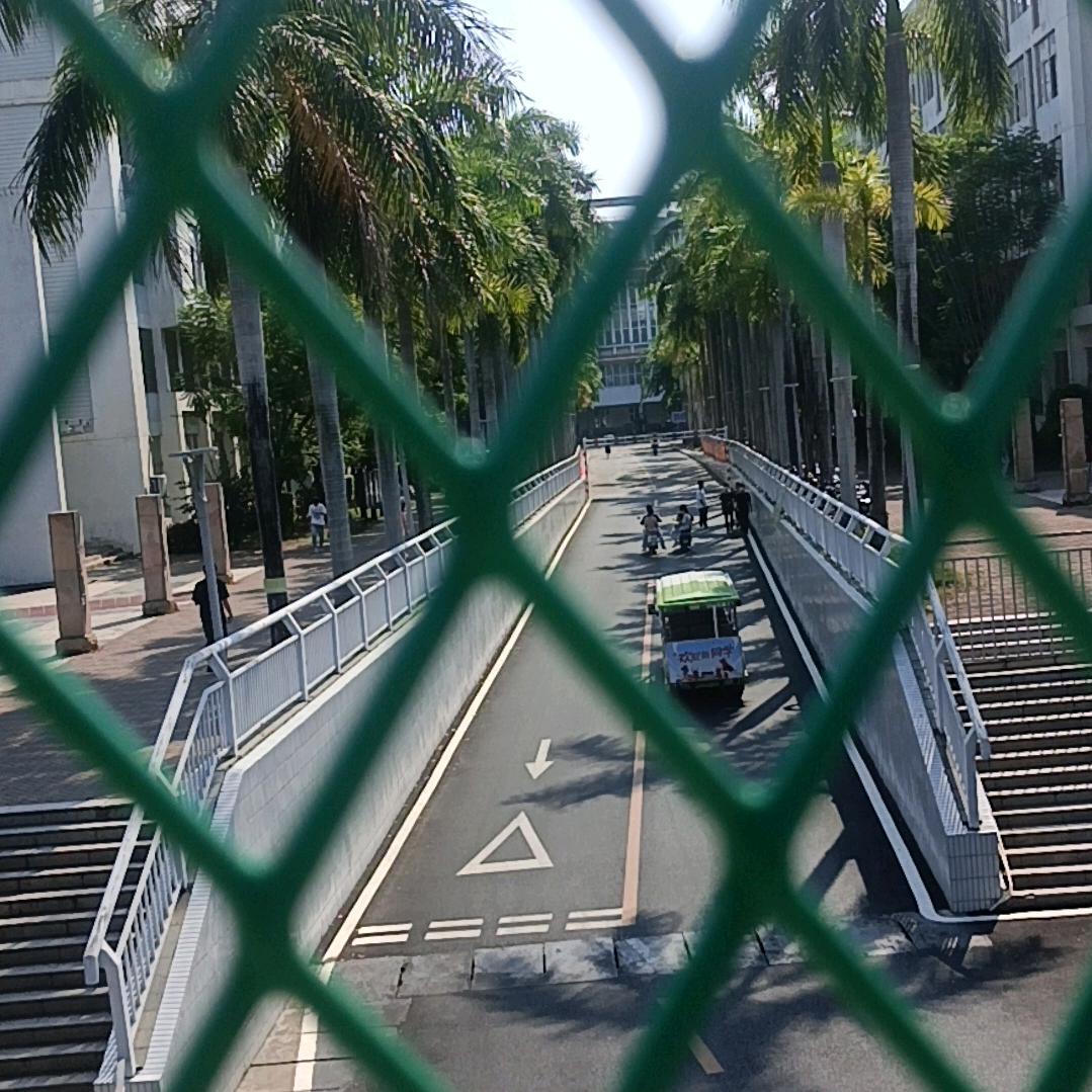 🌞努力追光的平凡人