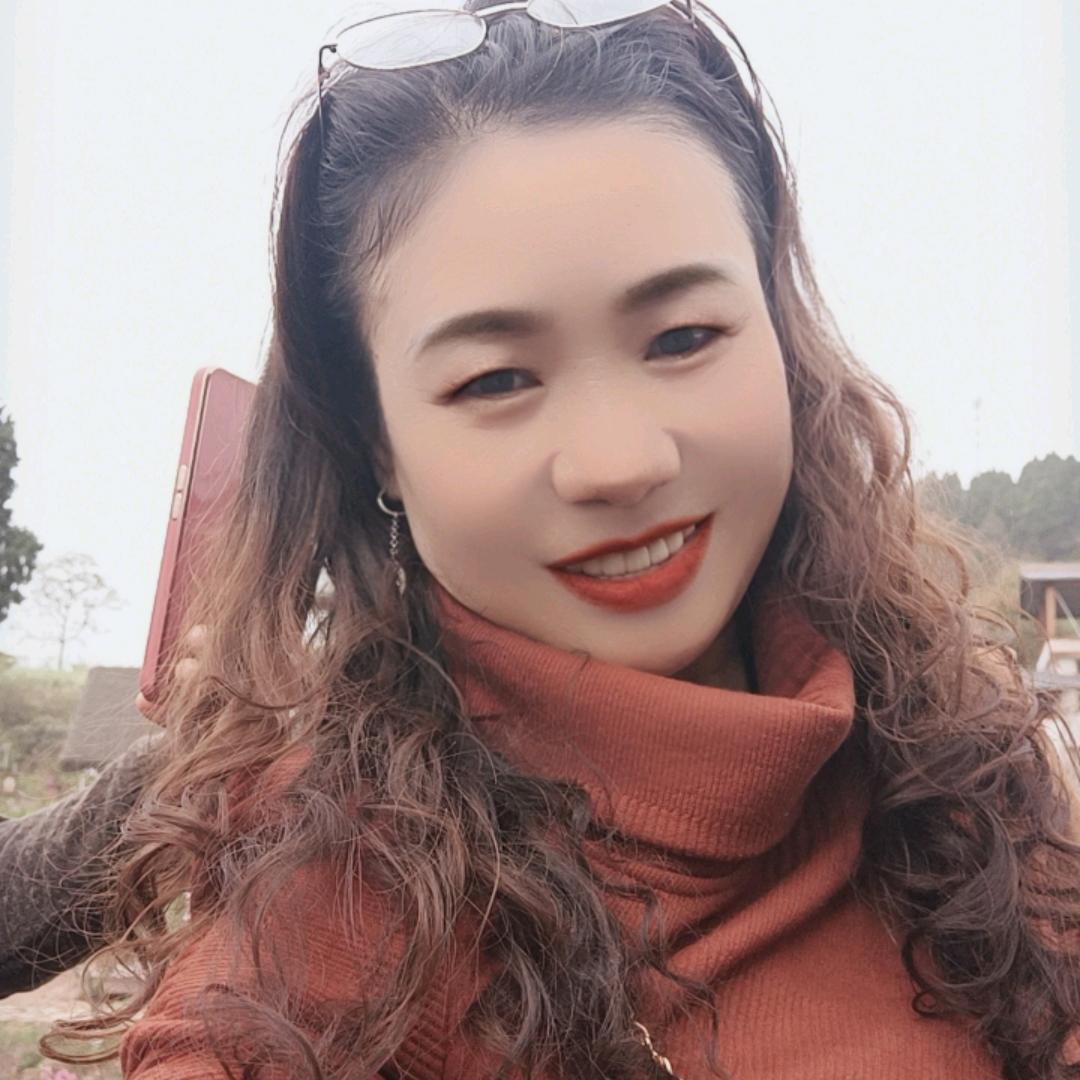 a金凤夏菊