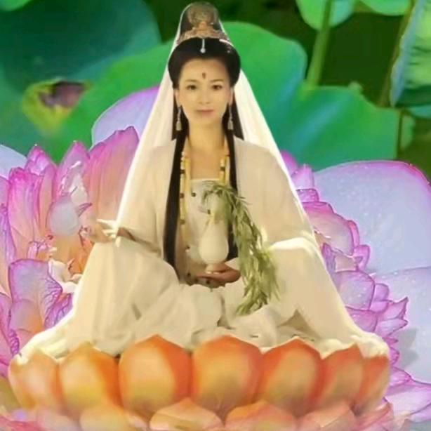 牡丹仙子仙女下凡，传递正能量💖🌹