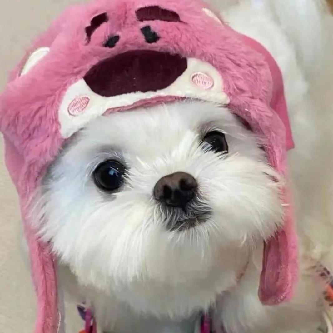 雪меι.（上学版）