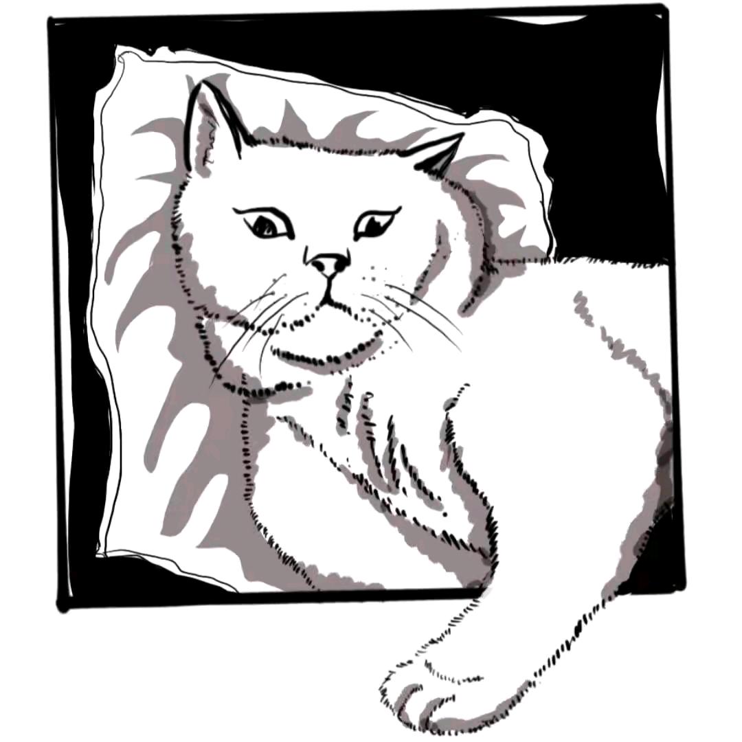 翻斗花园一号狙击手胡英俊