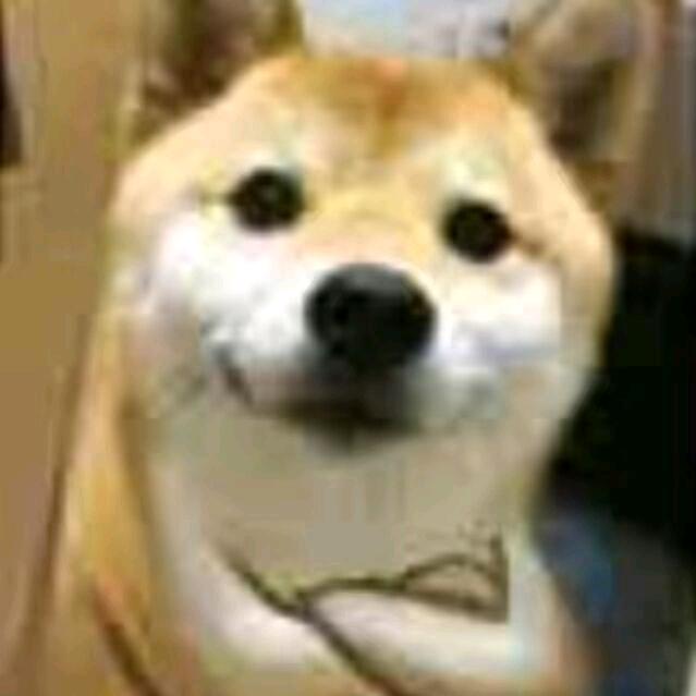 岩上松