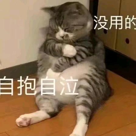 鹤立嘎群