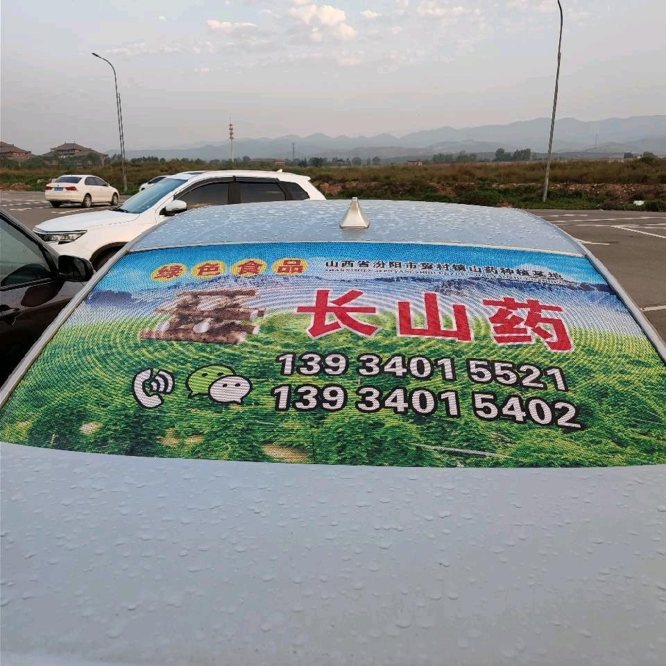 冀村长山药