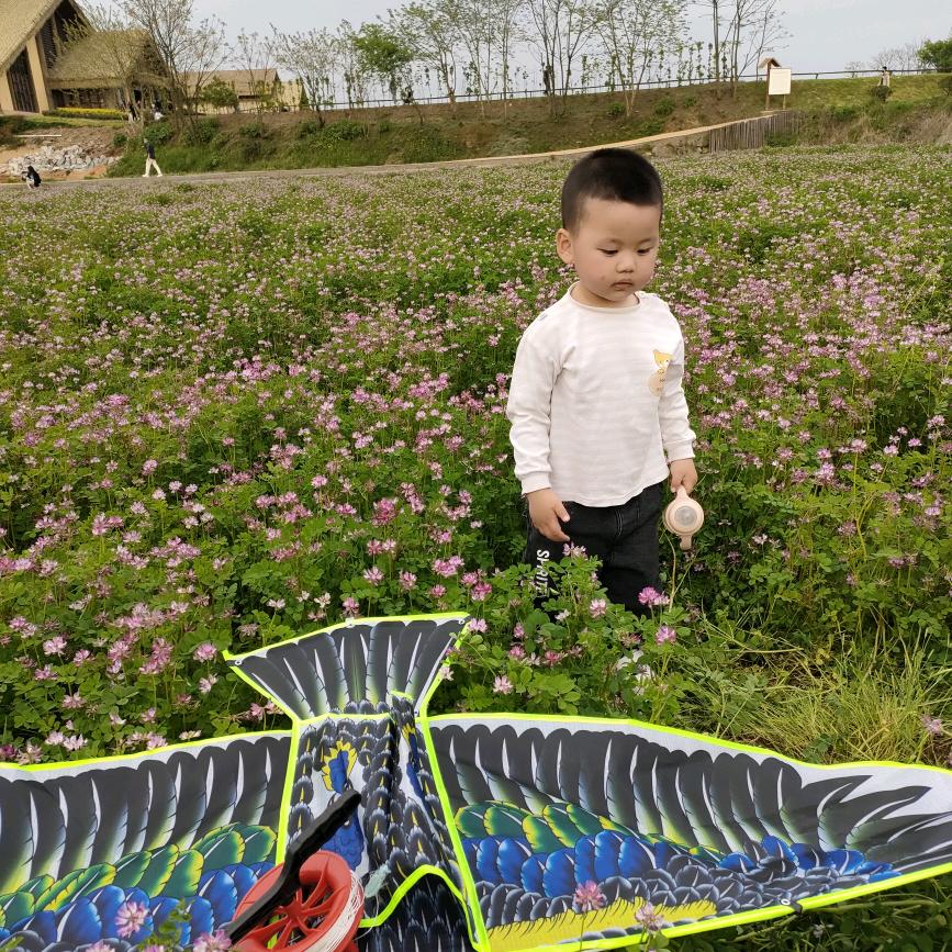 农村顺弟