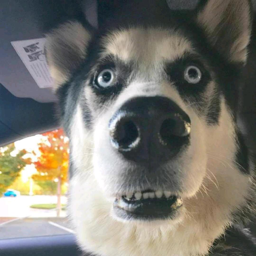 😂