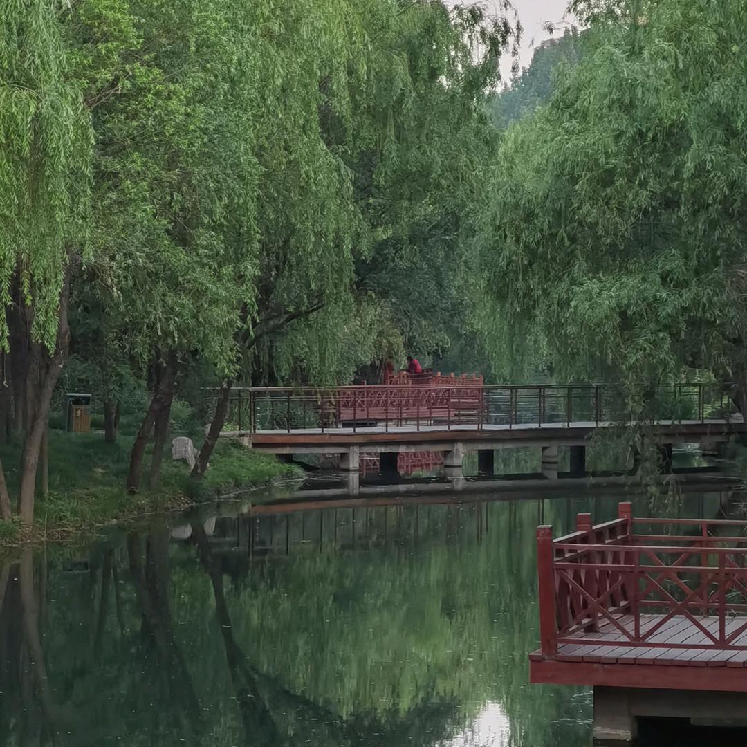 宝宝最爱酷洛米😘😍彬彬