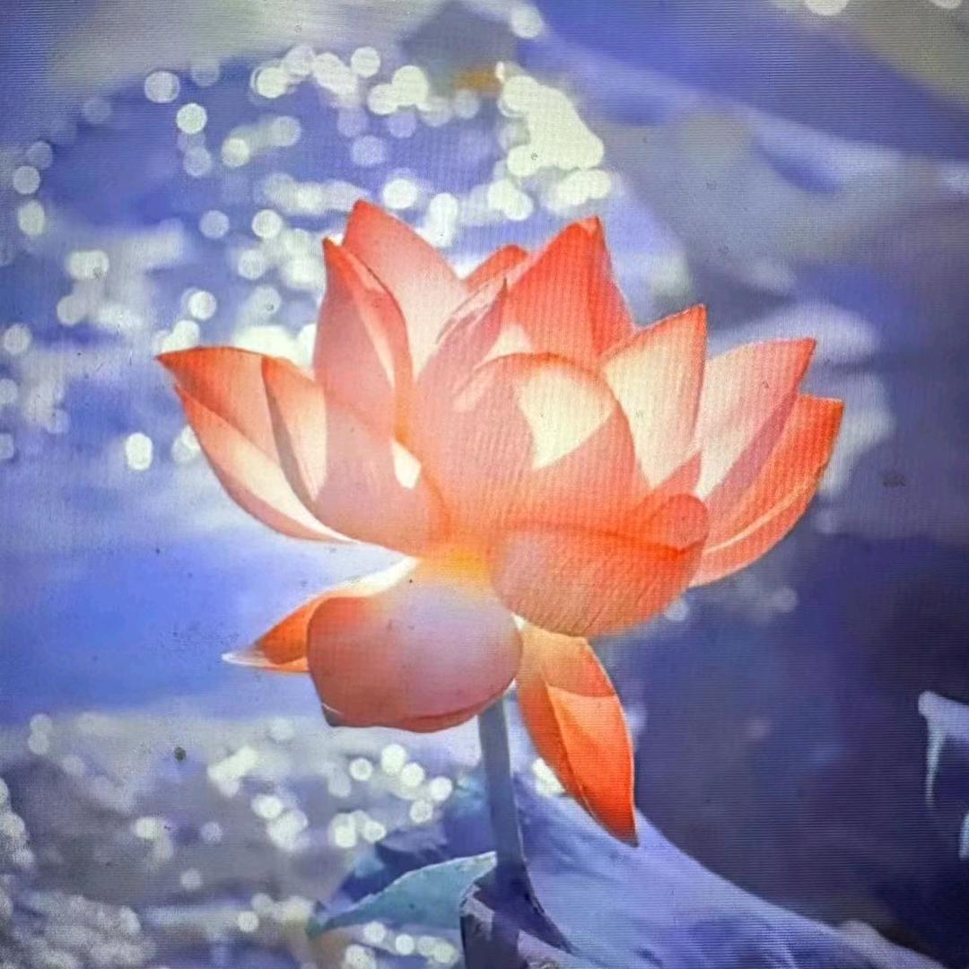 心平气荷
