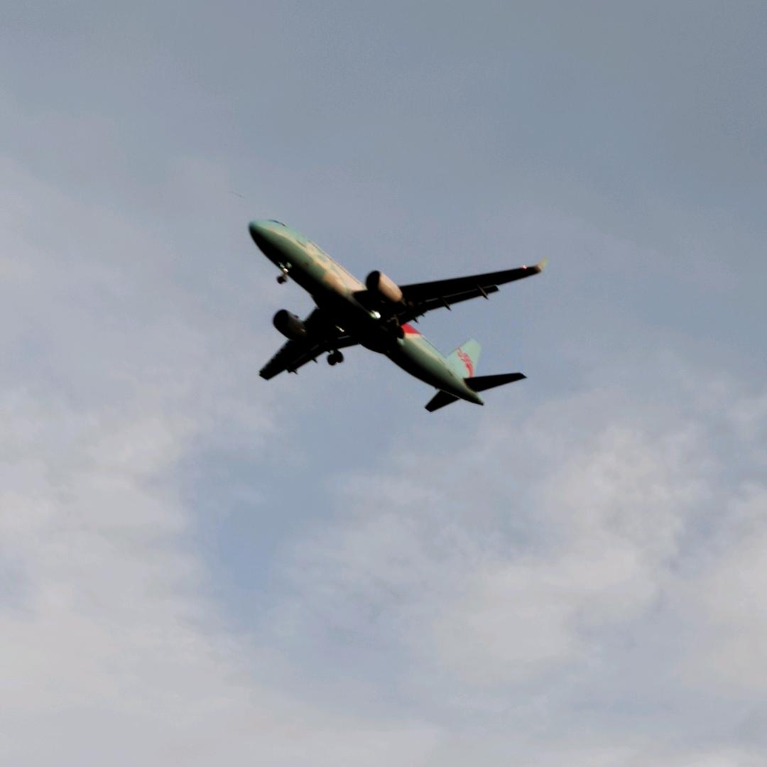 🐑🐑晨晨宝贝🐑🐑