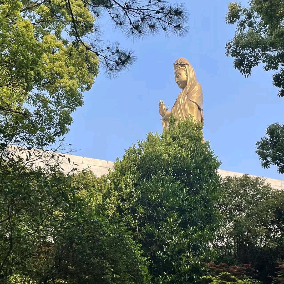 信缘刘姐