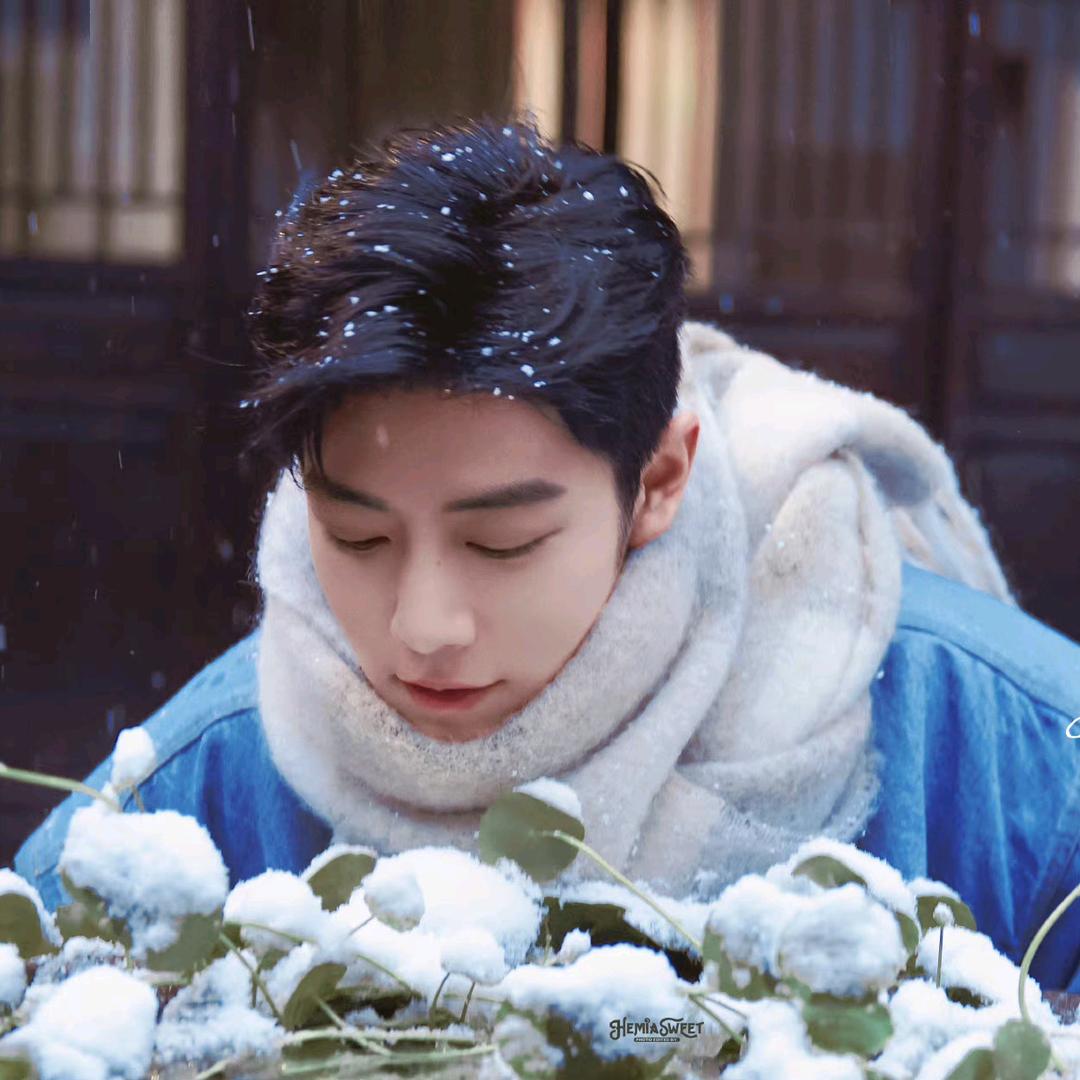 阿肖家的小笨蛋