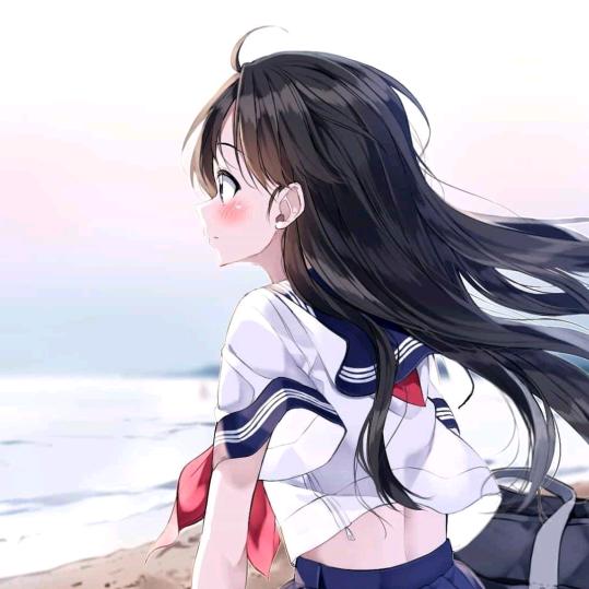 有朋自远方来