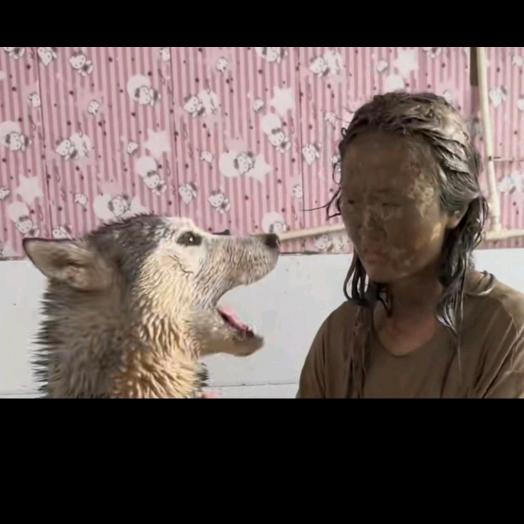 土狗