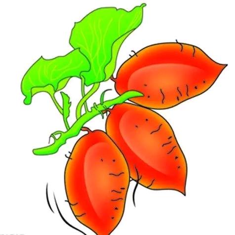 沂蒙山农副产品