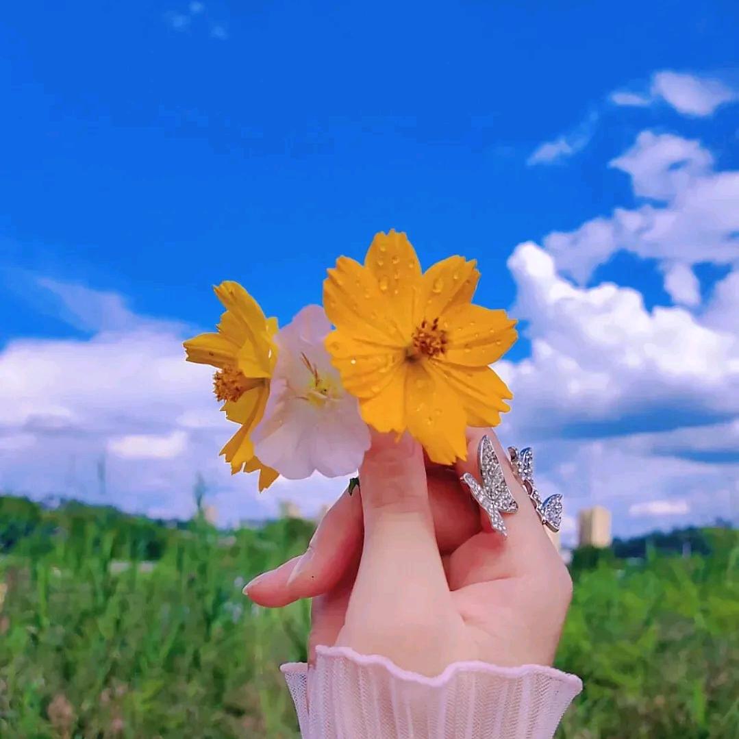 木子李🍀