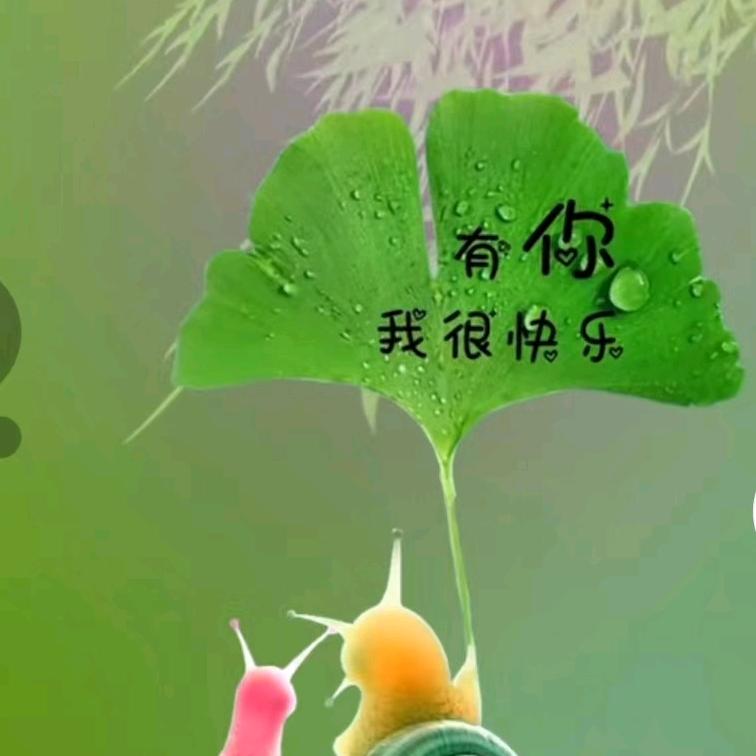 忘掉过去^O^雍清丽