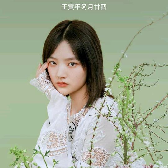 入梦微凉